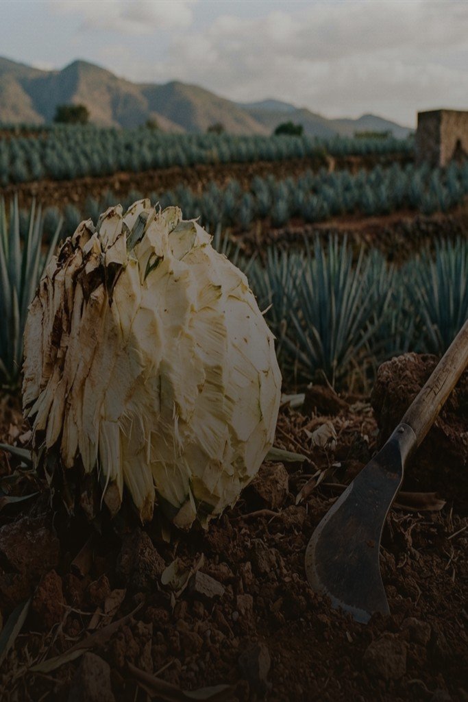 Salamadre Artisanal Mezcal